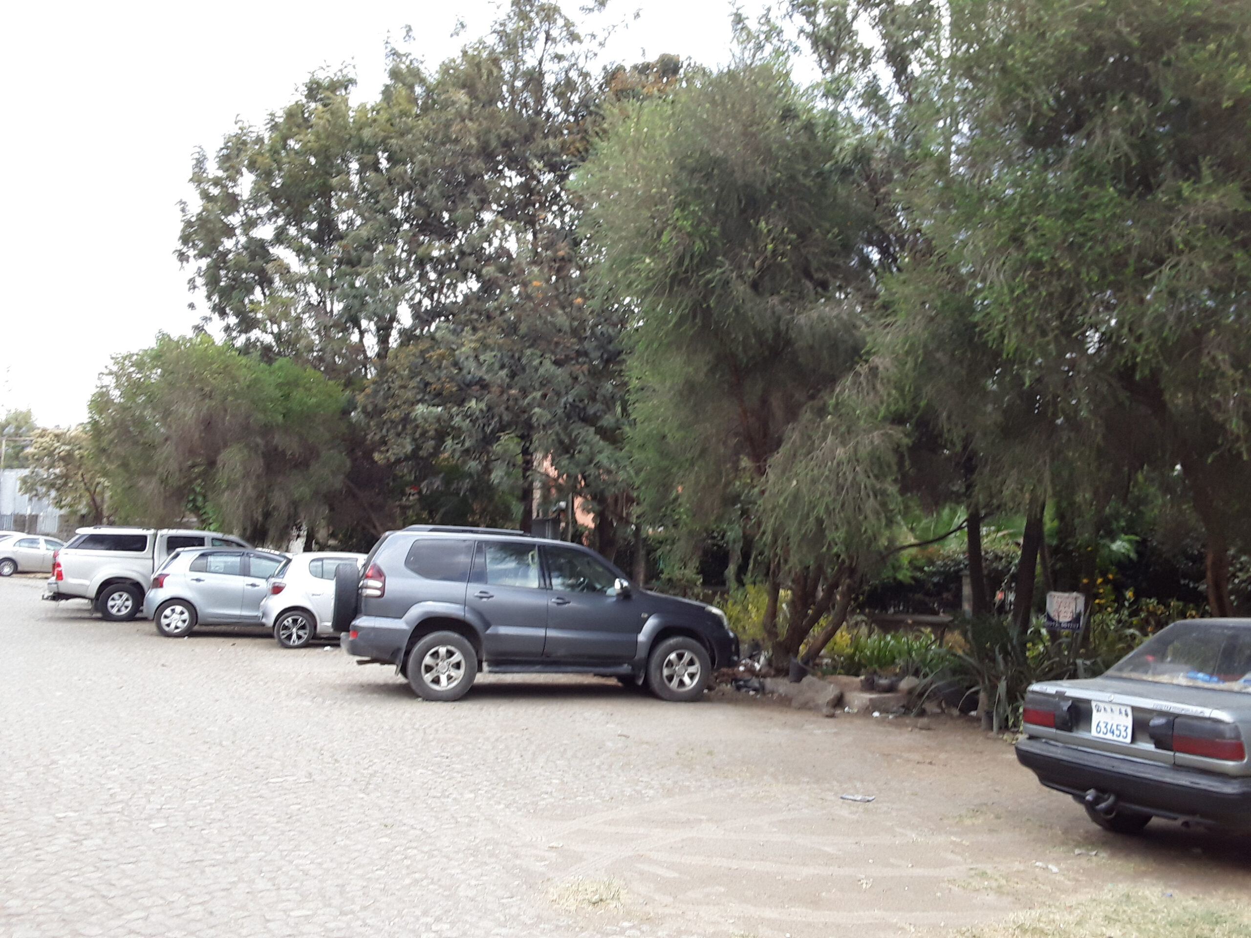 House for rent in Bole sub city