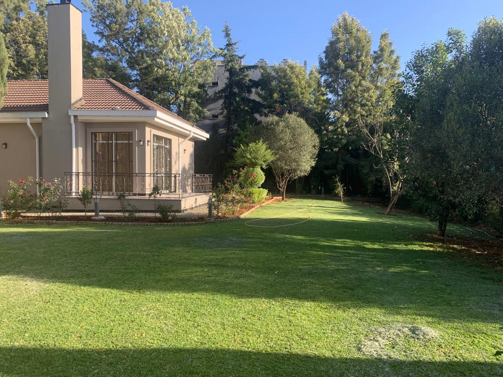 Apartments for rent in Bole